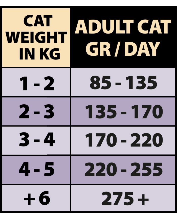 NATURAL GREATNESS (CAT) - CODORNIZ CON RIÑONES DE CERDO, ZANAHORIAS, JUDÍAS Y TOMILLO 170 G