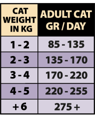 NATURAL GREATNESS (CAT) - CODORNIZ CON RIÑONES DE CERDO, ZANAHORIAS, JUDÍAS Y TOMILLO 170 G