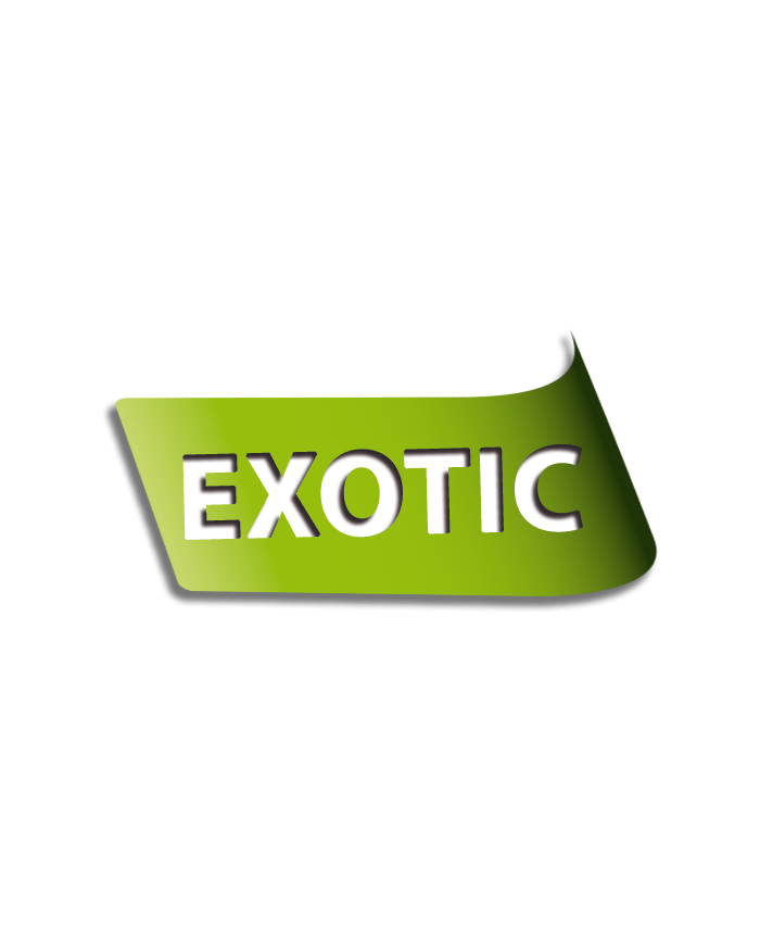 NATURAL GREATNESS (CAT) - CODORNIZ CON RIÑONES DE CERDO, ZANAHORIAS, JUDÍAS Y TOMILLO 170 G