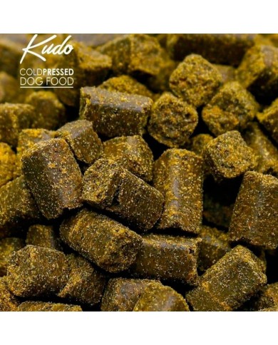 KUDO - ADULTO CARNE ROJA (MEDIUM/MAXI)