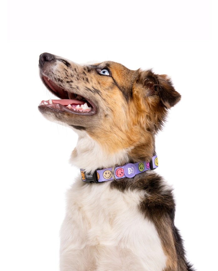 DUKIER - COLLAR SMILEY PARA PERROS