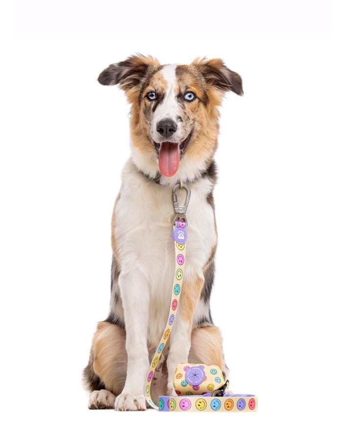 DUKIER - CORREA SMILEY PARA PERROS