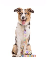 DUKIER - CORREA SMILEY PARA PERROS