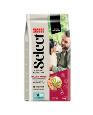 PICART | Select Adult Light