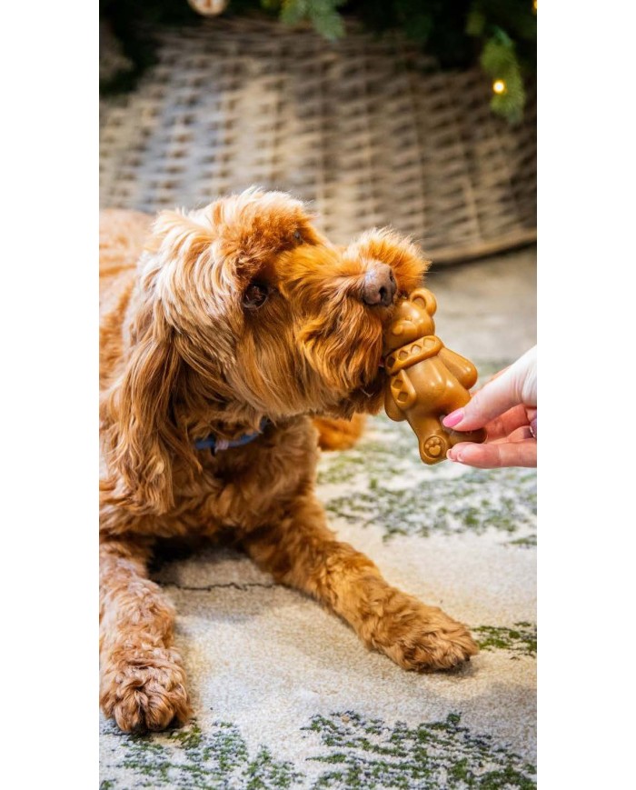 ROSEWOOD - Teddy Bear Chew 2 x 50 G