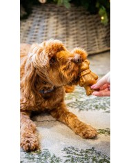 ROSEWOOD - Teddy Bear Chew 2 x 50 G