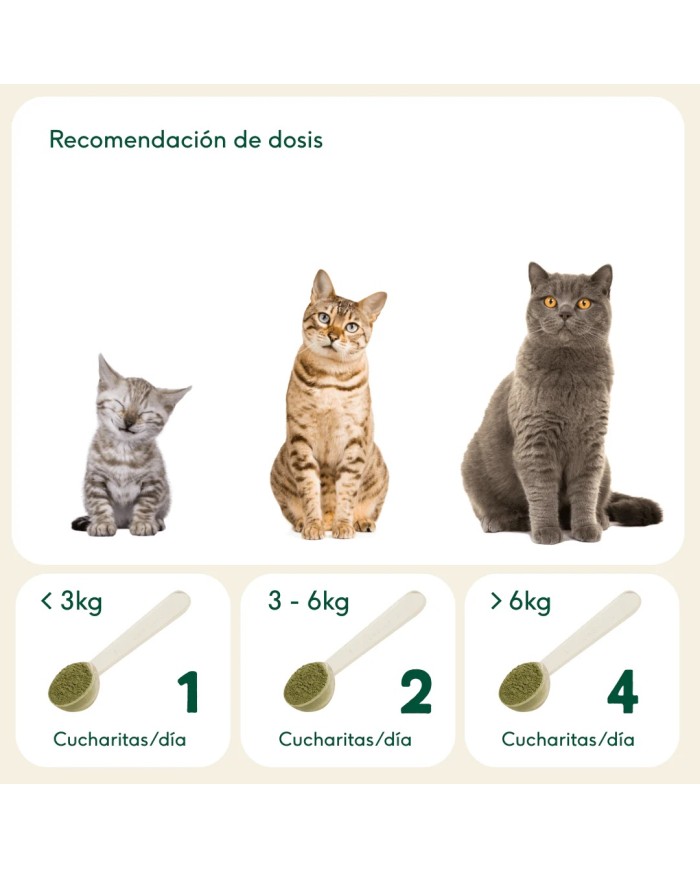 ARTICULACIONES DE ACERO - Condroprotector natural