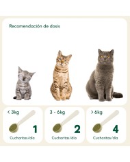 ARTICULACIONES DE ACERO - Condroprotector natural