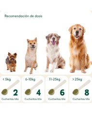 ARTICULACIONES DE ACERO - Condroprotector natural