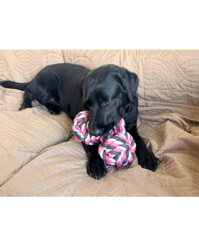 DUVO - Mordedor Manicuerna de tela 40 CM