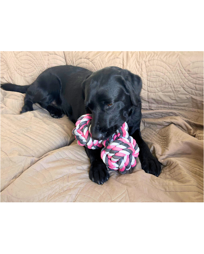 DUVO - Mordedor Manicuerna de tela 40 CM