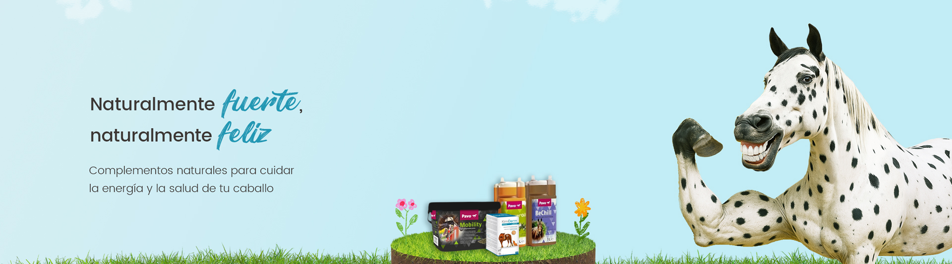 suplementos_caballos_zivwa 